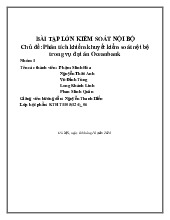Bài tập lớn môn Kiểm soát nội bộ - Trường Đại học lao động -  xã hội.