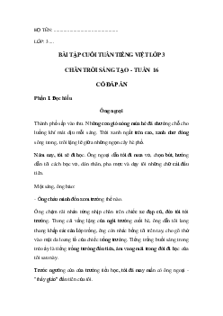 Bài tập cuối tuần tiếng Việt lớp 3 Chân trời sáng tạo Tuần 16 cơ bản