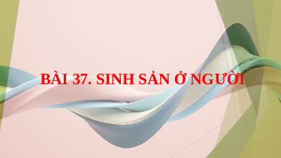 Giáo án điện tử Khoa học tự nhiên 8 Bài 37 Cánh diều: Sinh sản ở người