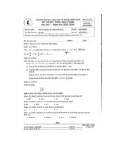 Đề thi cuối HKI học phần Thực hành vi tích phân 1B năm 2024 - 2025 | Trường Đại học Khoa học tự nhiên, Đại học Quốc gia Thành phố Hồ Chí Minh