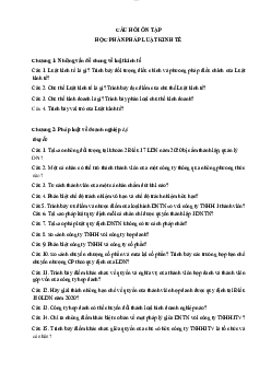 Câu hỏi tự luận ôn tập môn Luật kinh tế