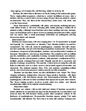 Final review | Môn Biology - Trường Đại học Quốc tế, Đại học Quốc gia Thành phố Hồ Chí Minh