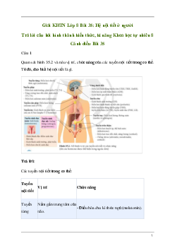 Giải KHTN 8 Bài 35: Hệ nội tiết ở người | Cánh diều