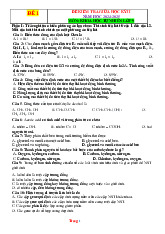 Bộ 10 Đề Kiểm Tra Giữa Kỳ 2 KHTN 9 Cấu Trúc Mới 2024-2025 Có Đáp Án