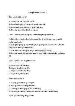 Trắc nghiệm Sinh học 11 Bài 23| Kết nối tri thức