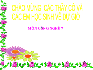Giáo án điện tử Công nghệ 7 Bài 7 Kết nối tri thức: Giới thiệu về rừng