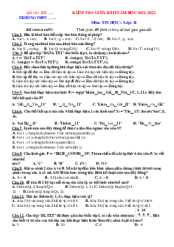 Đề thi giữa học kỳ 2 môn Tin 11 năm 2022 (có đáp án)-Đề 3