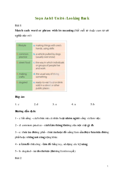 Giải Tiếng Anh 8 Unit 6: Looking Back | Kết nối tri thức