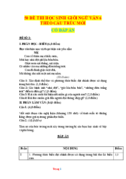 TOP 50 đề thi học sinh giỏi Ngữ Văn 6 theo cấu trúc mới (có đáp án)