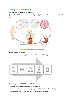 Giải Khoa học tự nhiên lớp 6 - Bài 23: Tổ chức cơ thể đa bào | Kết nối tri thức