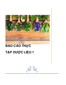 Báo cáo thực tập dược liệu 1 | Tâm lý học thần kinh | Đại học Khoa học Xã hội và Nhân văn, Đại học Quốc gia Thành phố HCM