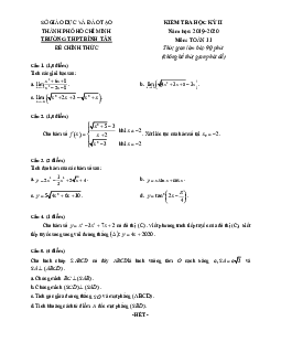 Đề thi học kì 2 Toán 11 năm 2019 – 2020 trường THPT Bình Tân – TP HCM