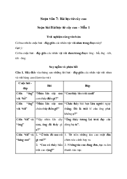 Bài học từ cây cau | Soạn văn 7 Chân trời sáng tạo