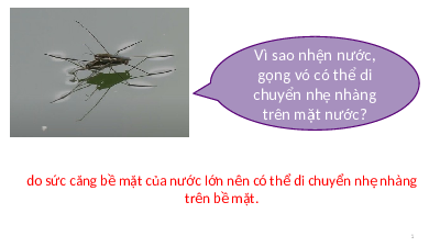 Giáo án điện tử Hoá học 10 Bài 13 Kết nối tri thức: Liên kết hydrogen và tương tác van der Waals
