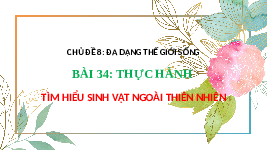 Giáo án điện tử Khoa học tự nhiên 6 bài 34 Chân trời sáng tạo : Tìm hiểu sinh vật ngoài thiên nhiên