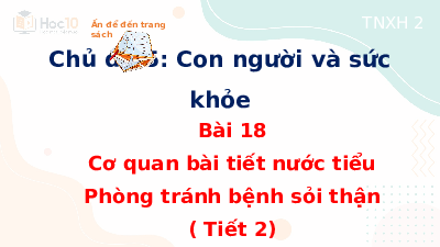 Giáo án điện tử Tự nhiên và xã hội 2 Bài 18 Cánh diều: Cơ quan bài tiết nước tiểu: Phòng tránh bệnh sỏi thận