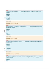 Câu hỏi ôn tập - Tài chính quốc tế - International Finance Quiz | Tài chính quốc tế | Trường Học Viện nông nghiệp Việt Nam