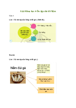 Giải Khoa học lớp 4 Ôn tập chủ đề Nấm | Cánh diều