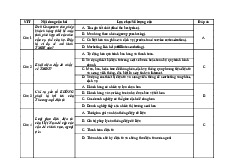 Trắc nghiệm TMĐT 1.1: Các câu hỏi và đáp án chi tiết | Môn Thương mại điện tử căn bản - Trường Đại học Kinh tế Quốc Dân