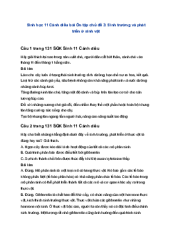 Sinh học 11 Cánh diều bài Ôn tập chủ đề 3: Sinh trưởng và phát triển ở sinh vật