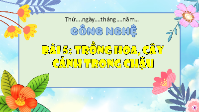 Bài giảng điện tử môn Công nghệ 4 | T1. Bài 5. TRỒNG HOA, CÂY CẢNH TRONG CHẬU - Lớp 4 KNTT | Kết nối tri thức