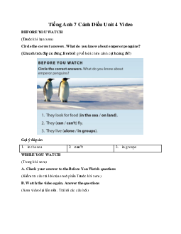 Tiếng Anh 7 Cánh Diều Unit 4 Video