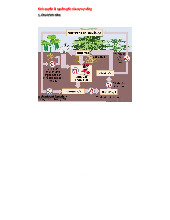 Nghiên cứu về Sinh quyển và Sự sống: Tác động và Tương tác