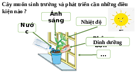 Giáo án điện tử Khoa học tự nhiên 7 bài 35 Chân trời sáng tạo : Các nhân tố ảnh hưởng đến sinh trưởng và phát triển của sinh vật
