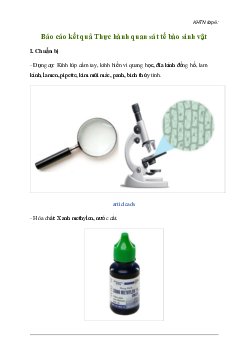 Giải Khoa học tự nhiên 6 Bài 18: Thực hành quan sát tế bào sinh vật - Chân Trời Sáng Tạo