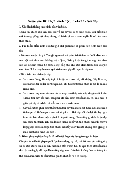 Soạn bài Thực hành đọc: Tính cách của cây - Kết nối tri thức Ngữ văn lớp 10