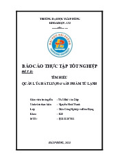 Tìm hiểu quản lý chất lượng sản phẩm tủ lạnh | Báo cáo Môn Thực tập chuyên ngành - Đại học Hải Phòng