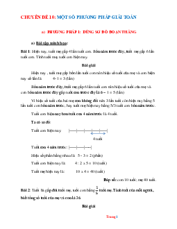 Chuyên đề BD HSG Toán 6: Một số phương pháp giải toán
