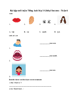 Bài tập cuối tuần Tiếng Anh lớp 3 Global Success - Tuần 6