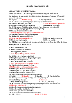 Đề thi học kì 1 môn Tin học lớp 7 | Đề 1 | Kết nối tri thức