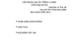 Côn Trùng Hại Cây Trồng (HK1-2020-2021) | Môn Bảo vệ thực vật - Đại học Cần Thơ