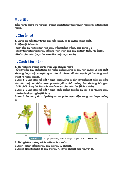 Giải SGK Khoa học tự nhiên 7 bài 32: Thực hành chứng minh thân vận chuyển nước và lá thoát hơi nước| Kết nối tri thức