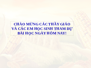 Giáo án điện tử Toán 6 Bài 22 Kết nối tri thức: Hình có tâm đối xứng (tiết 1)