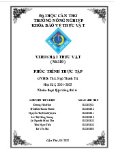 Phúc Trình Thực Tập Virus Hại Thực Vật | Môn Bảo vệ thực vật - Đại học Cần Thơ