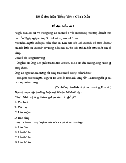 Bộ đề đọc hiểu Tiếng Việt 4 Cánh Diều