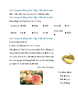 Giải SGK Tiếng Việt 3 trang 34 Bài 7: Mặt trời xanh của tôi - Viết | Kết nối tri thức