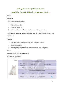 Soạn bài Viết: Quan sát con vật | Kết nối tri thức