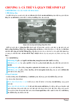 Bài tập chương I cá thể và quần thể sinh vật sinh học 12