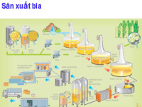 12 Sản xuất bia
