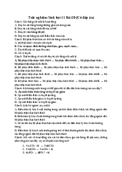 Trắc nghiệm Sinh học 11 Bài 20 (Có đáp án)| Kết nối tri thức