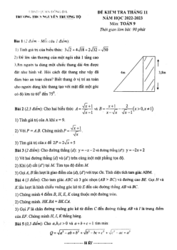 Đề kiểm tra Toán 9 tháng 11 năm 2022 trường THCS Nguyễn Trường Tộ – Hà Nội