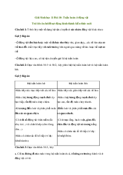 Giải Sinh học 11 Bài 10: Tuần hoàn ở động vật | Chân trời sáng tạo