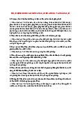 Câu hỏi ôn tập Nhận định đúng sai - Pháp luật đại cương | Đại học Tôn Đức Thắng