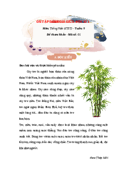 Bài tập cuối tuần Tiếng Việt lớp 4 nâng cao Tuần 9 - Chân trời sáng tạo