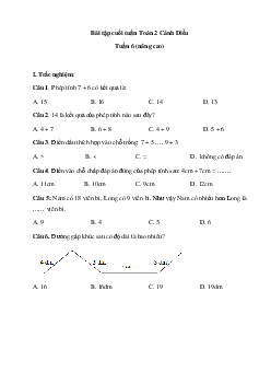 Đề kiểm tra cuối tuần Toán lớp 2 Cánh Diều - Tuần 6 (nâng cao)