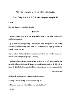 Soạn bài Viết: Bài văn miêu tả cây cối - Tiếng Việt 4 Chân trời sáng tạo